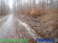 Bild zum Eintrag (1039928-177)