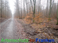 Bild zum Eintrag (1039933-177)