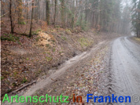 Bild zum Eintrag (1039937-177)