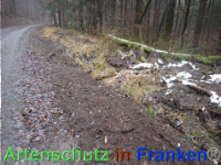 Bild zum Eintrag (1039938-177)