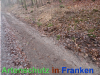 Bild zum Eintrag (1039941-177)