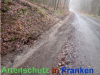 Bild zum Eintrag (1039942-177)