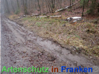 Bild zum Eintrag (1039945-177)