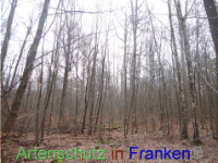 Bild zum Eintrag (1040932-177)