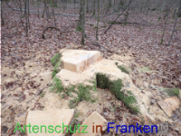 Bild zum Eintrag (1040942-177)