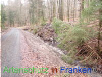 Bild zum Eintrag (1041061-177)