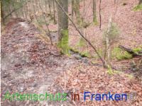 Bild zum Eintrag (1041072-177)