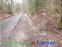 Bild zum Eintrag (1041074-177)