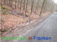 Bild zum Eintrag (1041085-177)