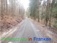 Bild zum Eintrag (1041086-177)