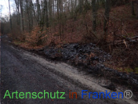 Bild zum Eintrag (1041094-177)