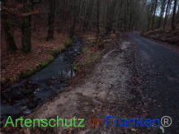 Bild zum Eintrag (1041095-177)