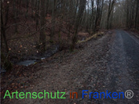 Bild zum Eintrag (1041097-177)