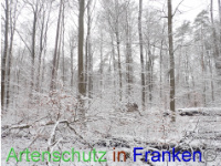 Bild zum Eintrag (1041291-177)