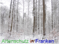 Bild zum Eintrag (1041294-177)