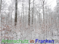 Bild zum Eintrag (1041297-177)