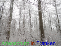 Bild zum Eintrag (1041309-177)