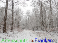 Bild zum Eintrag (1041310-177)