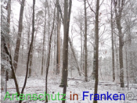Bild zum Eintrag (1041317-177)