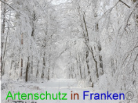 Bild zum Eintrag (1043004-177)