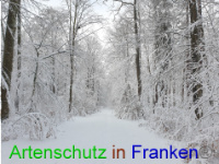 Bild zum Eintrag (1043005-177)