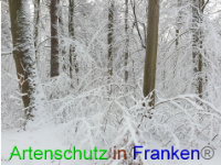 Bild zum Eintrag (1043006-177)