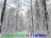 Bild zum Eintrag (1043007-177)