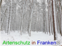 Bild zum Eintrag (1043008-177)