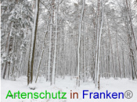 Bild zum Eintrag (1043009-177)