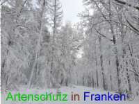 Bild zum Eintrag (1043010-177)