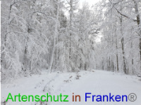 Bild zum Eintrag (1043011-177)