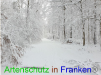 Bild zum Eintrag (1043012-177)