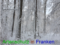 Bild zum Eintrag (1043013-177)