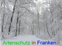 Bild zum Eintrag (1043014-177)