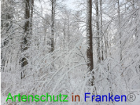 Bild zum Eintrag (1043015-177)