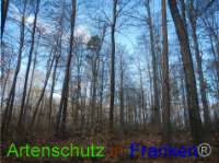 Bild zum Eintrag (1043982-177)