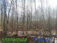 Bild zum Eintrag (1043984-177)