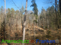 Bild zum Eintrag (1043994-177)