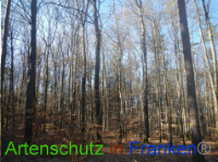 Bild zum Eintrag (1044003-177)