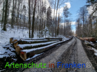 Bild zum Eintrag (1066323-177)