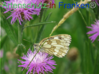Bild zum Eintrag (1088704-177)