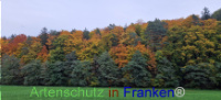 Bild zum Eintrag (1128692-177)