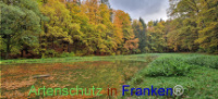 Bild zum Eintrag (1128696-177)