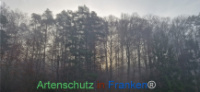 Bild zum Eintrag (1129251-177)