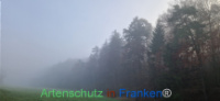 Bild zum Eintrag (1129252-177)