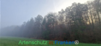 Bild zum Eintrag (1129253-177)