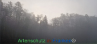 Bild zum Eintrag (1129256-177)