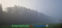 Bild zum Eintrag (1129257-177)