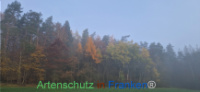 Bild zum Eintrag (1129260-177)