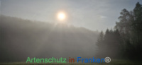 Bild zum Eintrag (1129262-177)